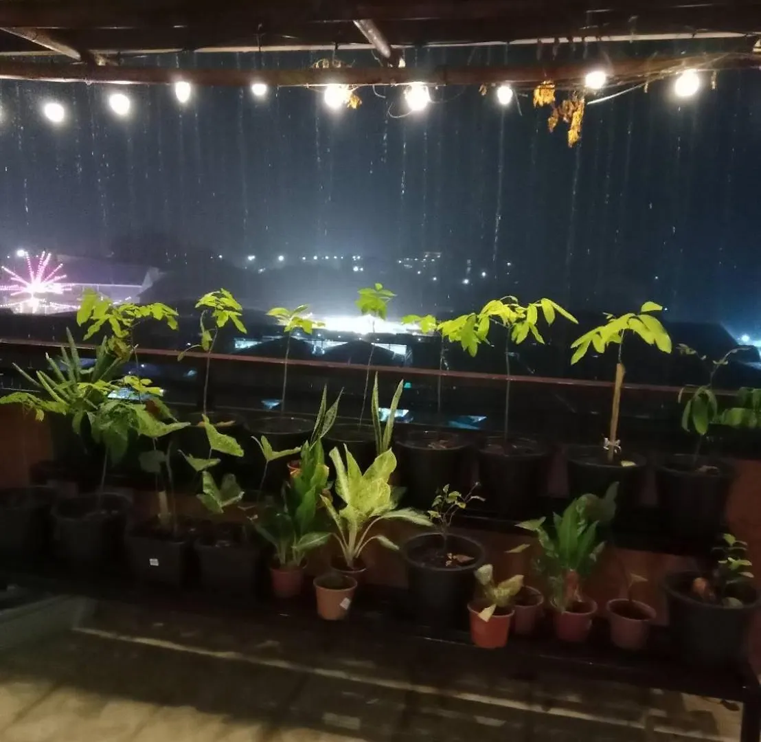 The Atnal Lanta Budget And Eco Friendly Hotel In Ko Lanta 0*,  Thaïlande